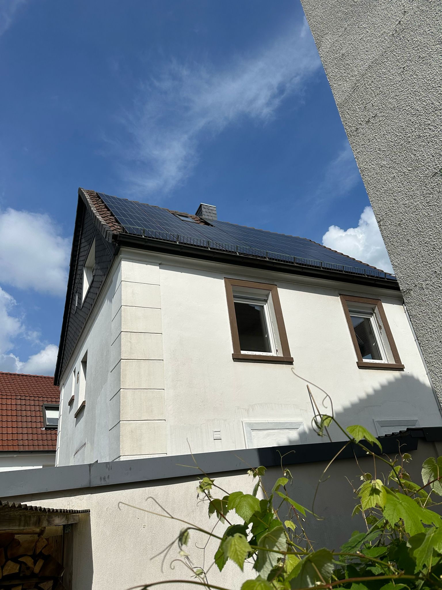 Elektro Goldau